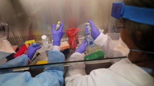 Coronavirus, c'è una svolta e si chiama "47D11”: ecco l'anticorpo che può fermare la pandemia