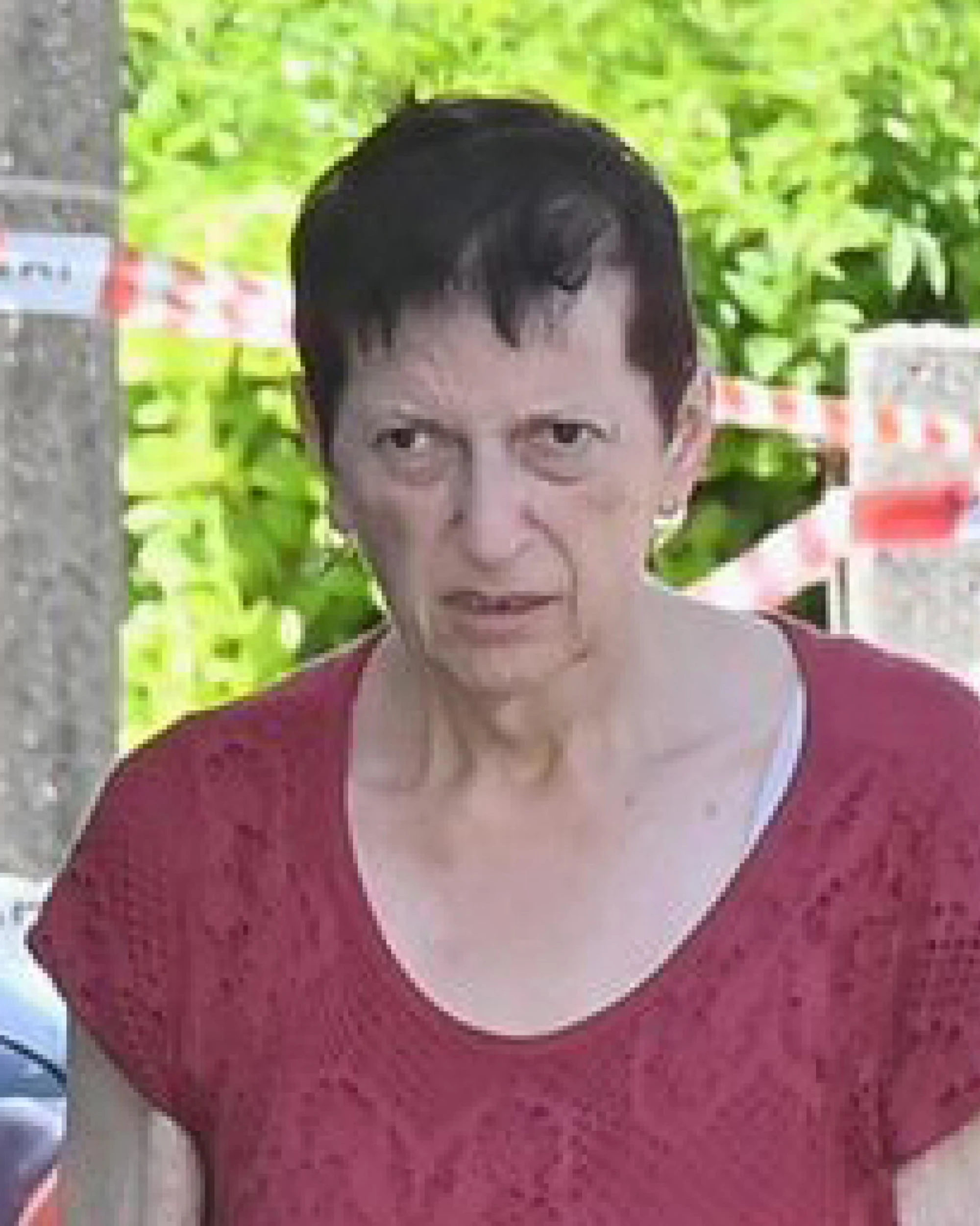 Alessandro Venier, dov'è andata la mamma dopo averlo fatto a pezzi