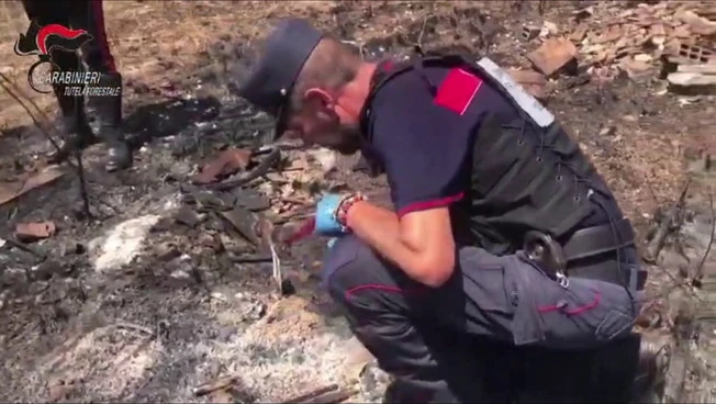 Appicca il fuoco vicino a un bosco a Morano Calabro, 56enne arrestato