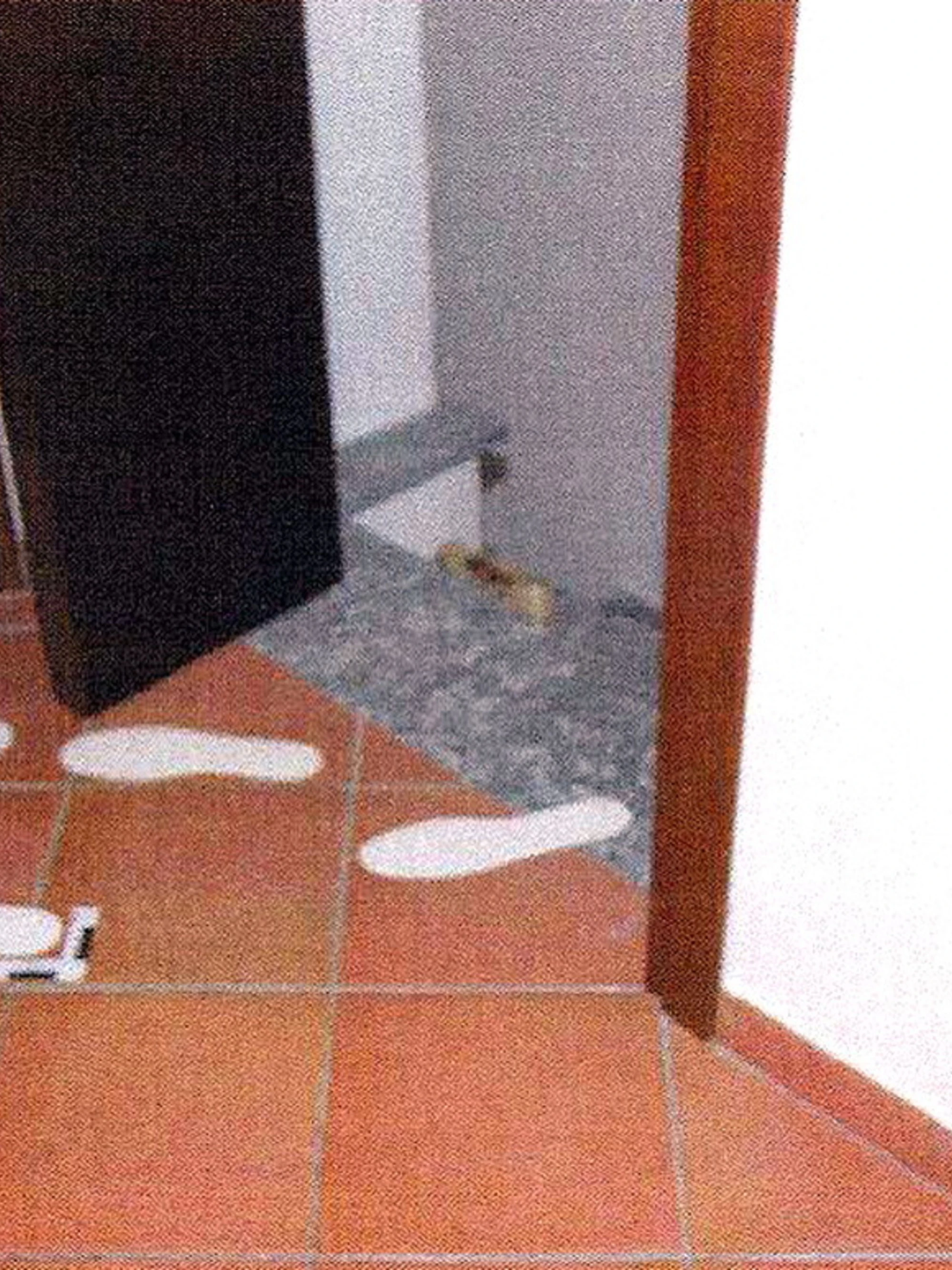 Garlasco, Sempio e le confezioni di yogurt nella spazzatura: cosa non torna