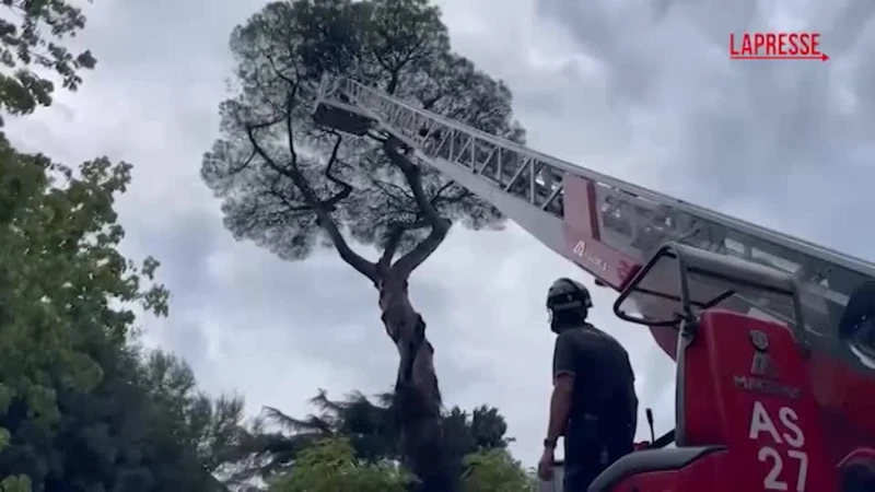 https://media.liberoquotidiano.it/U2WSzCG_zkiQKlYDN-DGAKCOVuw66rQVlIYpM1iek3M/width:800/quality:90/aW1hZ2VzLzIwMjYvMDkvMTAvMTIwNzUwNDAzLTUxZDNkMTc0LTc5ZDItNGVjMS1iYzFhLWQzOTg0ZDBiZDE1YS5qcGc.webp