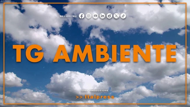 Tg Ambiente - 16/11/2025