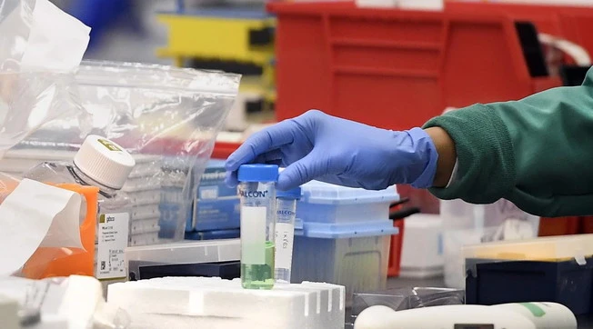 Il coronavirus in Italia è entrato due volte: Germania e Cina, l'ultimo studio sugli eventi epidemici