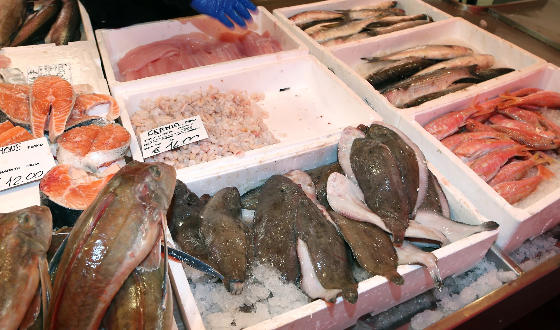 Pesce, come scegliere quello migliore da mangiare. Occhio a questo dettaglio davanti alla bancarella
