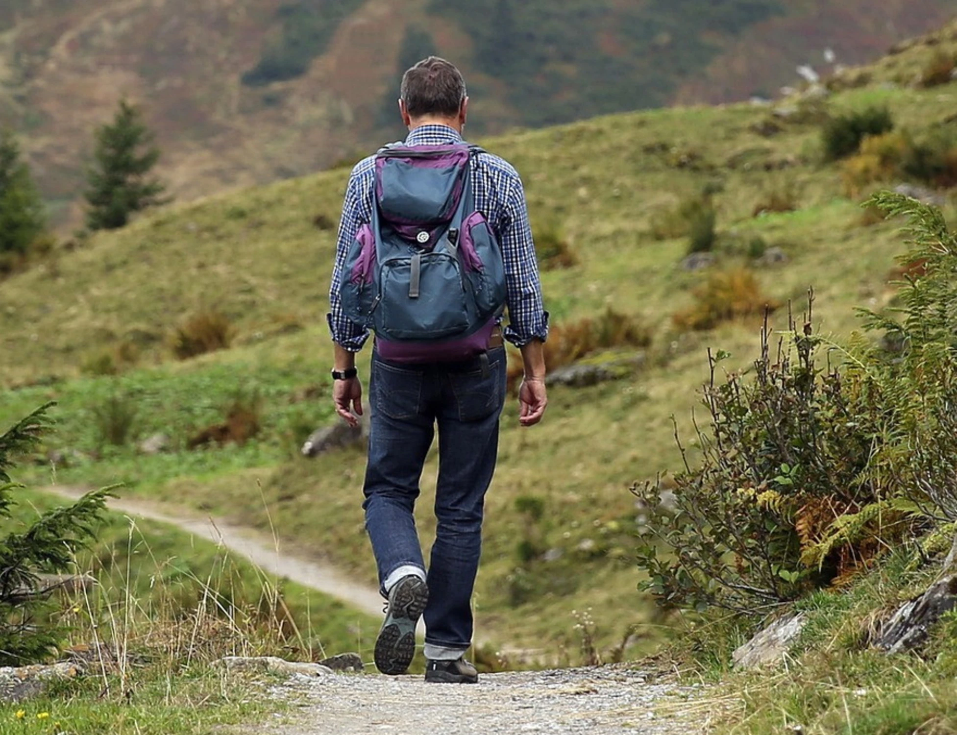 Terrorizzati dalla natura: la biofobia, male in crescita