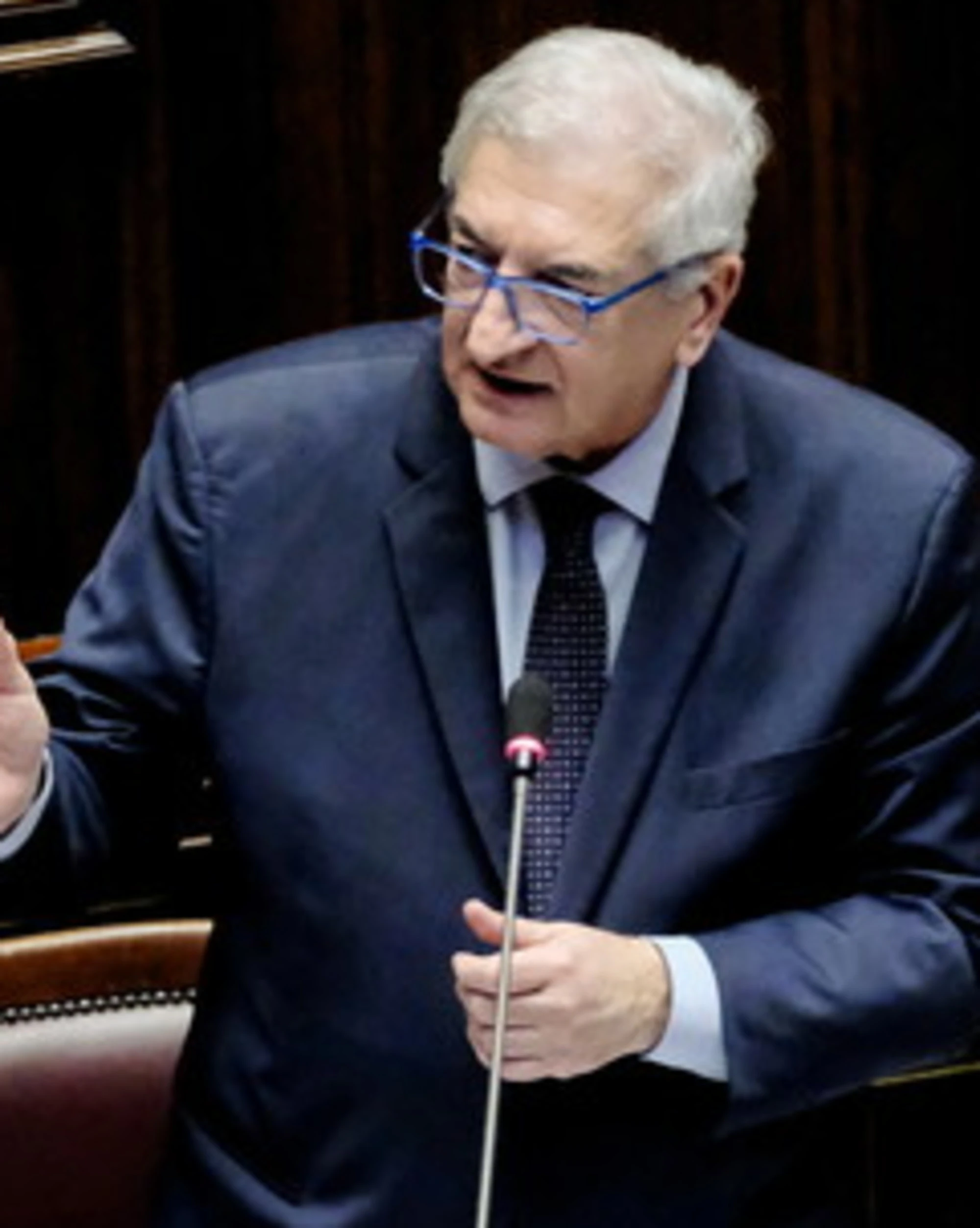 Tommaso Foti azzera la grillina: "Avvinazzati?"