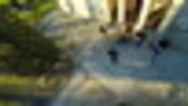 In anteprima il video 