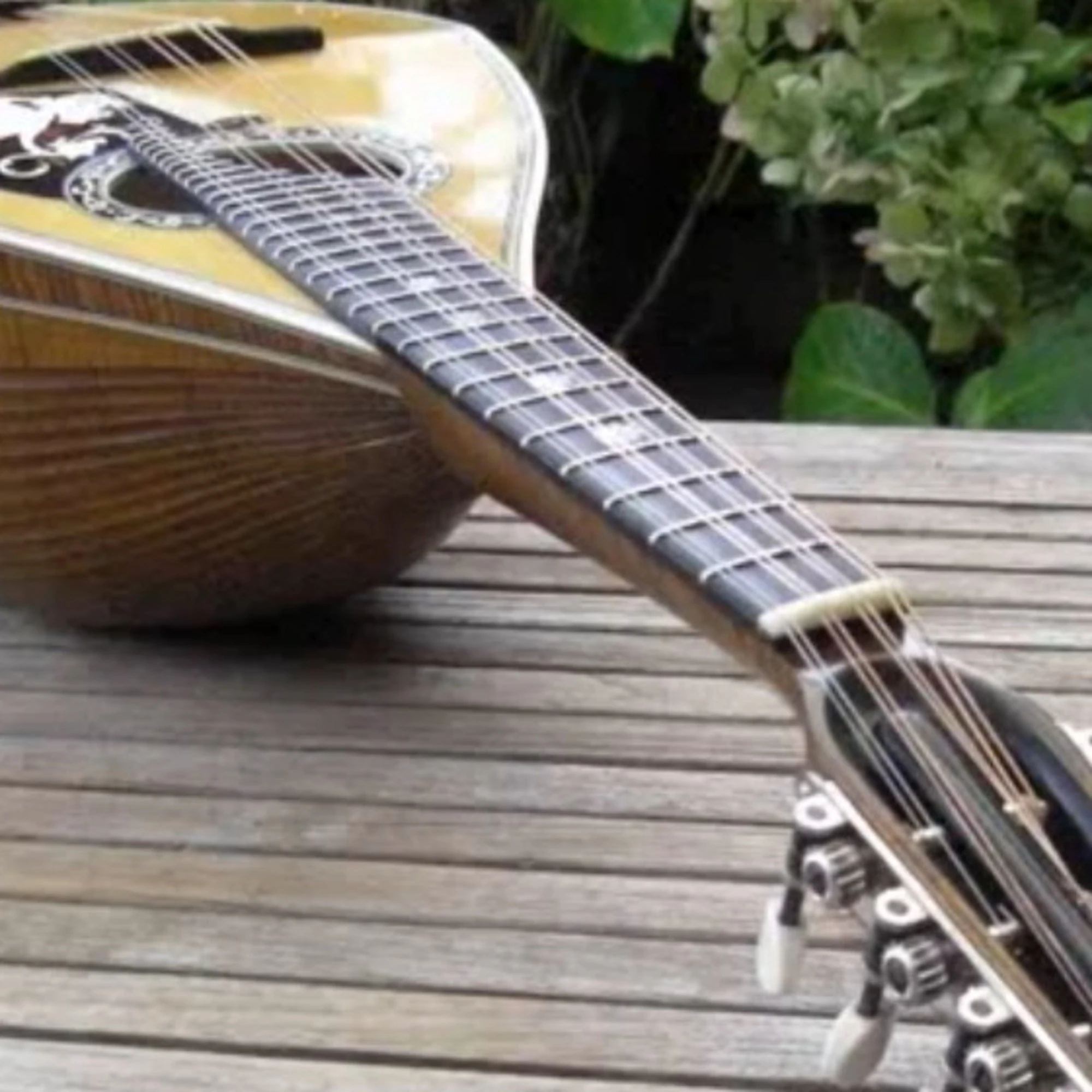 L'arpinate Embergher, il genio incompreso della mandoliola