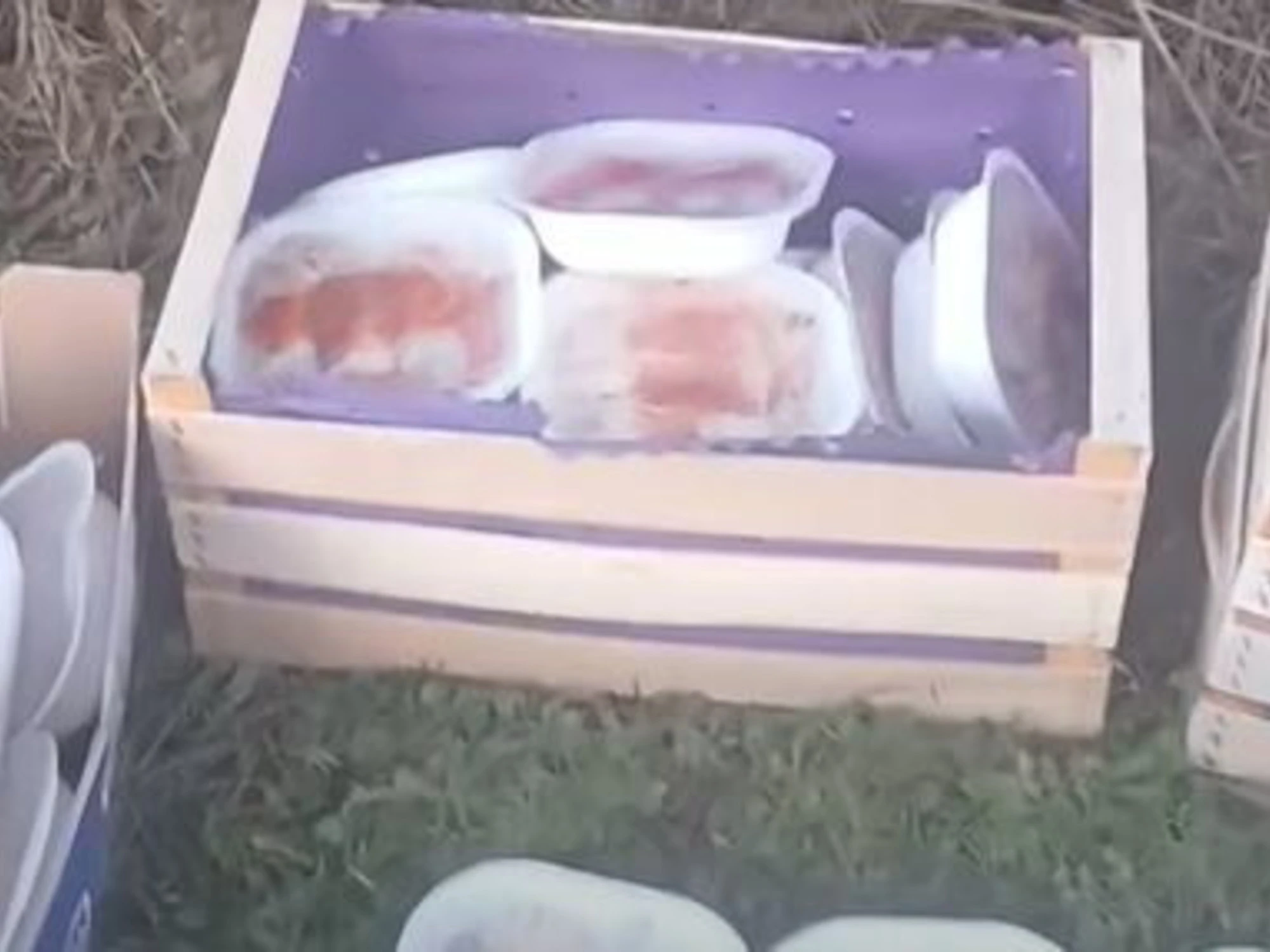 Pontassieve, "dove buttano i pasti per gli immigrati": FdI denuncia, uno scandalo enorme