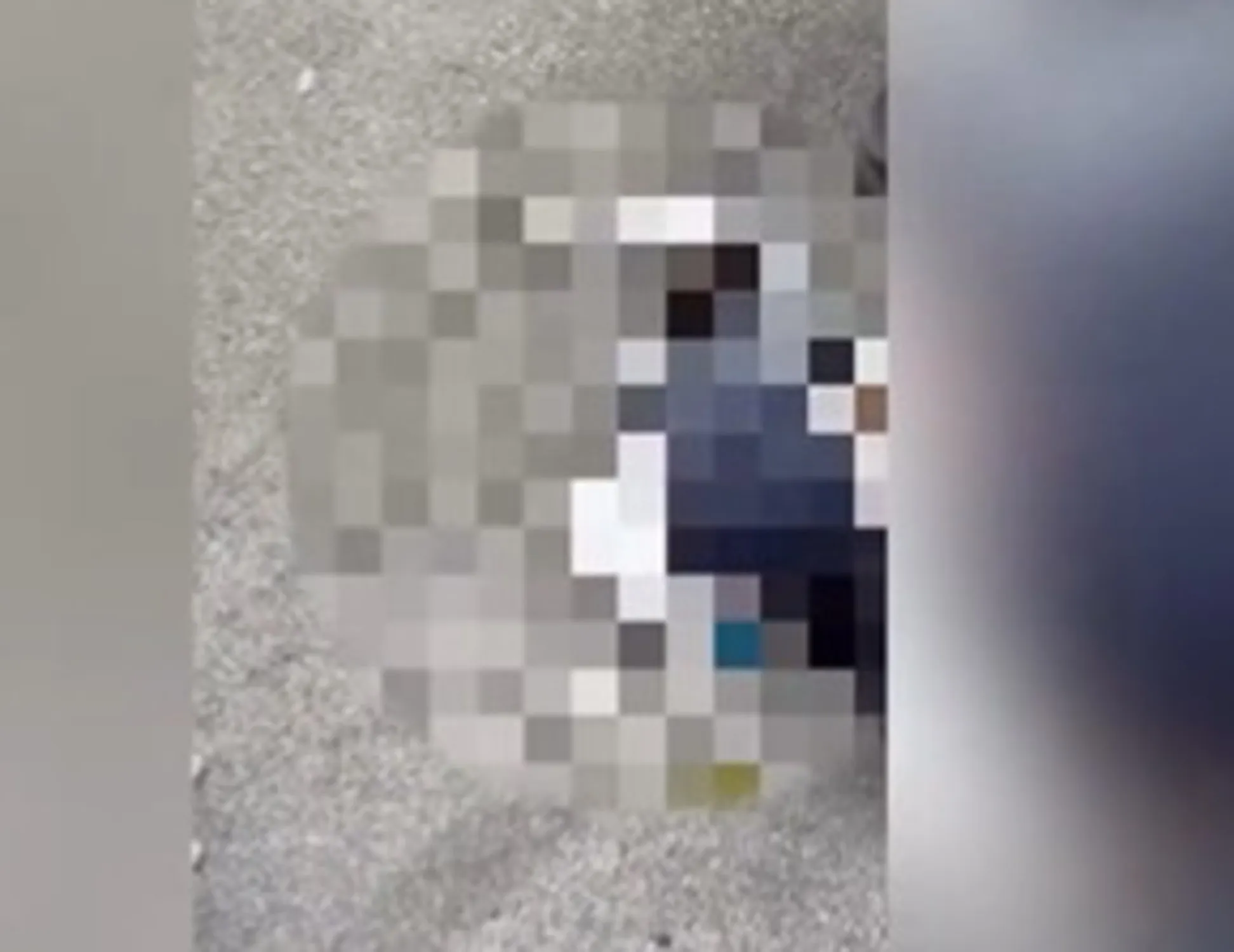 Leggi l'articolo: Fakir, cocaina e pozza di sangue: nuovo video, fango sulla polizia