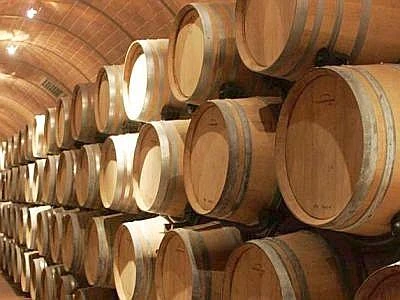Con 'Eko Cantina-Eko Bio Wine' tecnologie green nelle aziende vitivinicole