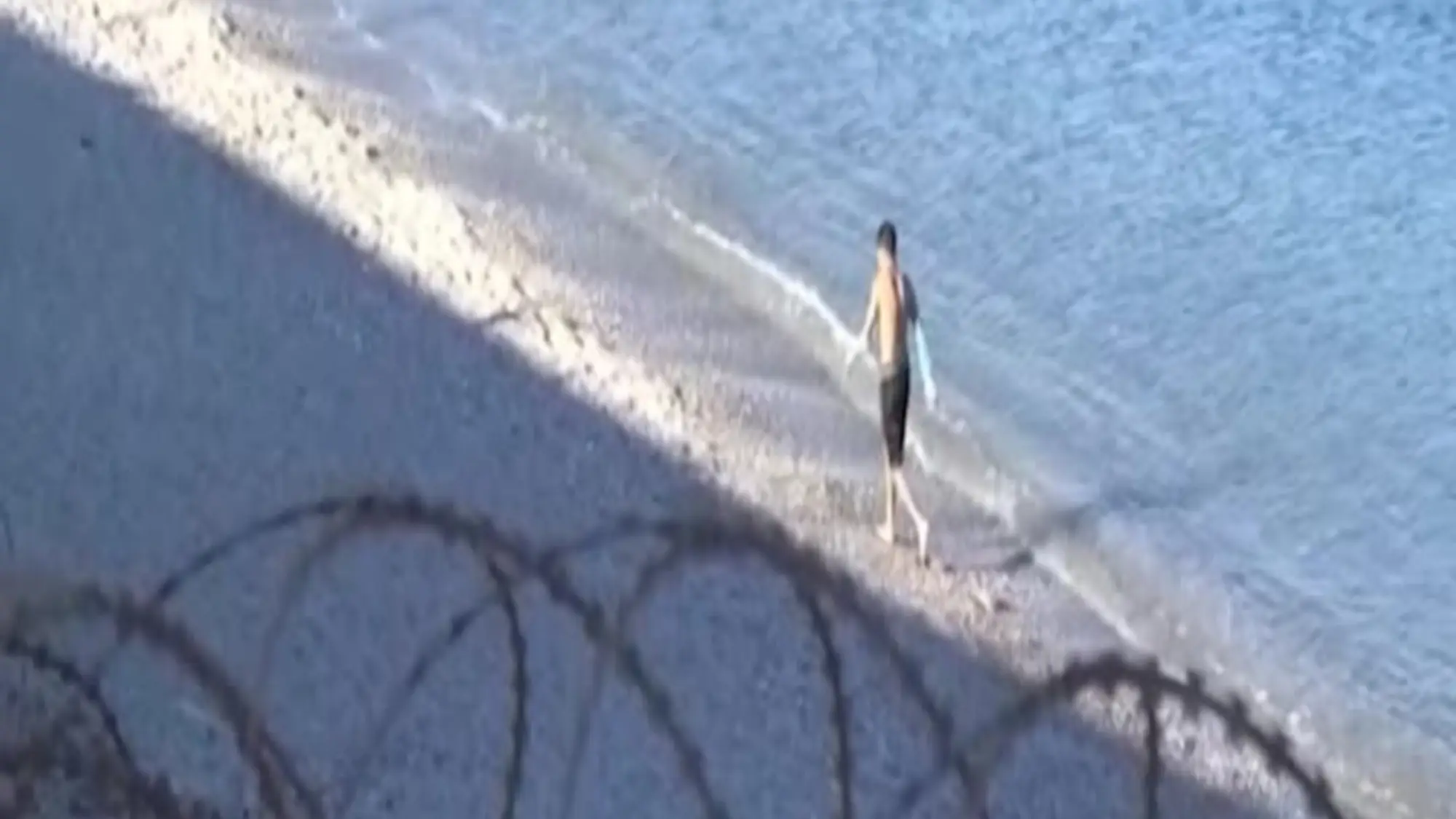 Ceuta, report 007: "Rischio terrorismo concreto, c’è una regia"