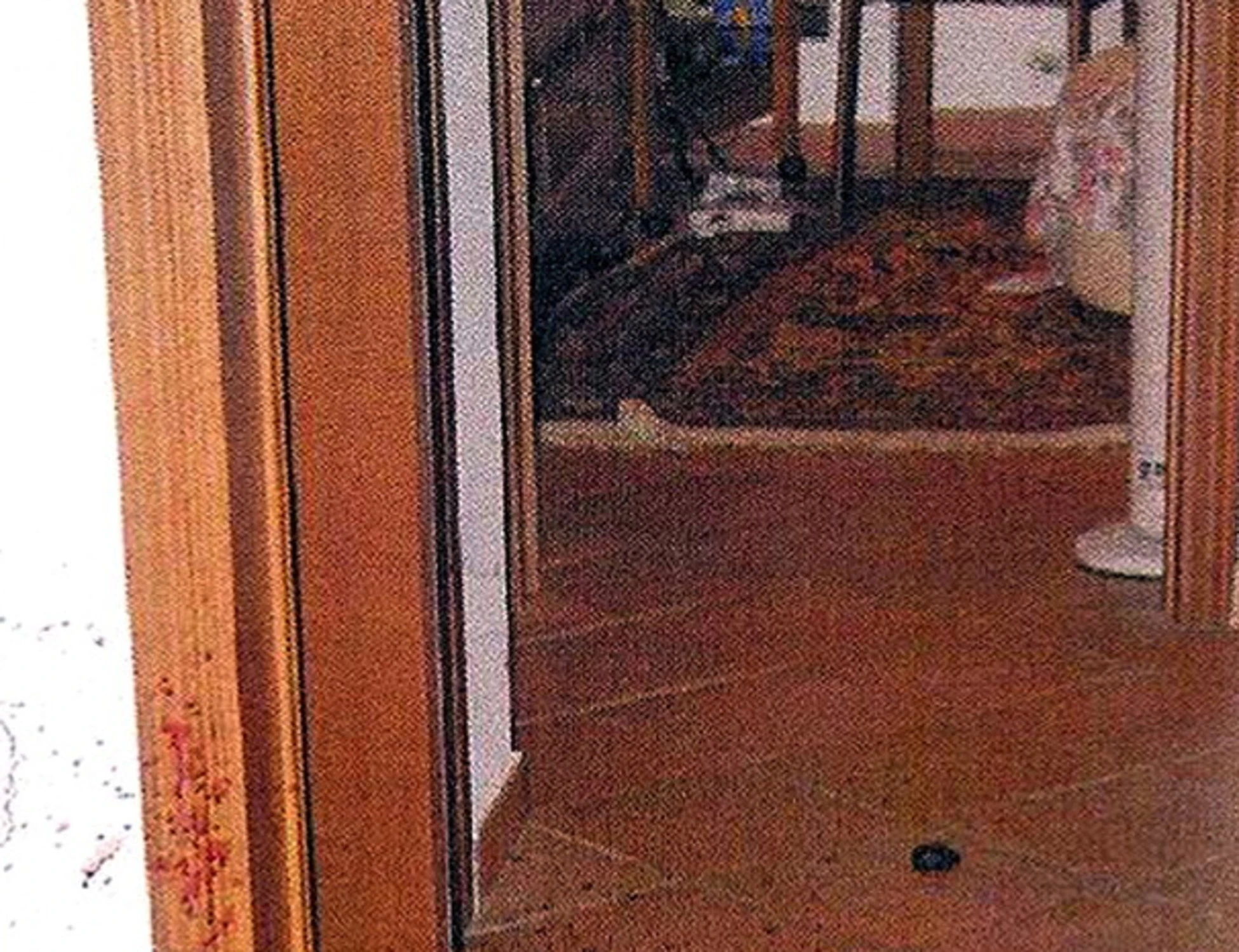 Chiara Poggi e il pc di Stasi, filmati porno: l'ultima verità