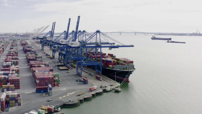 Cresce il volume di import e export di cereali, semi oleosi e farine