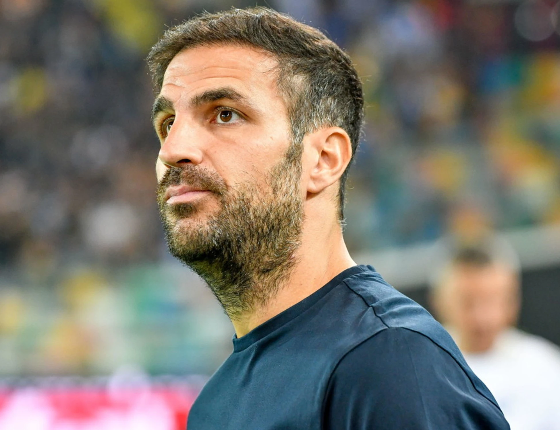 Inter, Fabregas rifiuta. Spunta una ipotesi choc