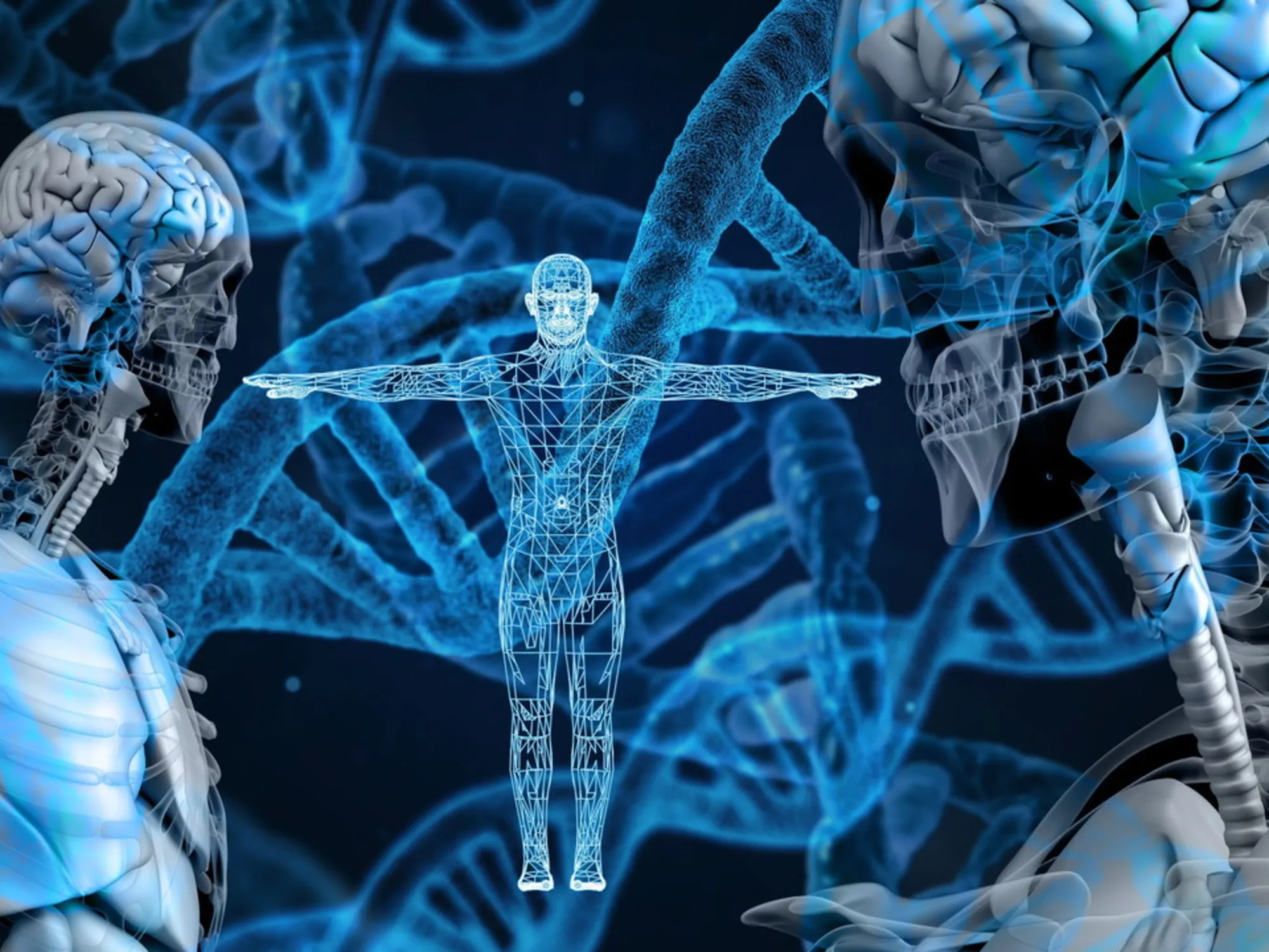 Leggi l'articolo: Proteine, ecco come si "piegano" all'interno del nostro corpo