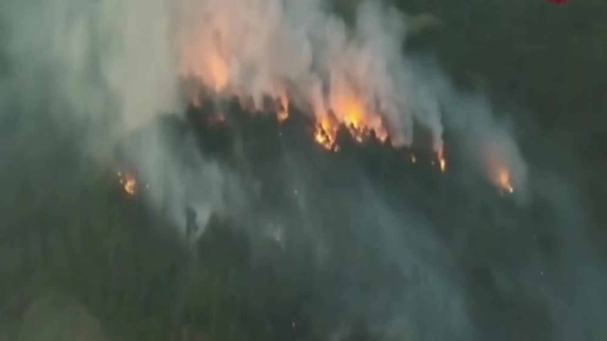 Emilia Romagna, incendio nei boschi di Vedriano: le immagini del drone