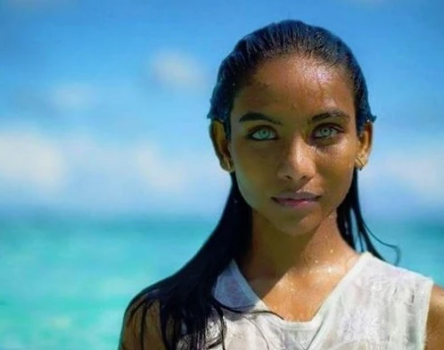 498x393