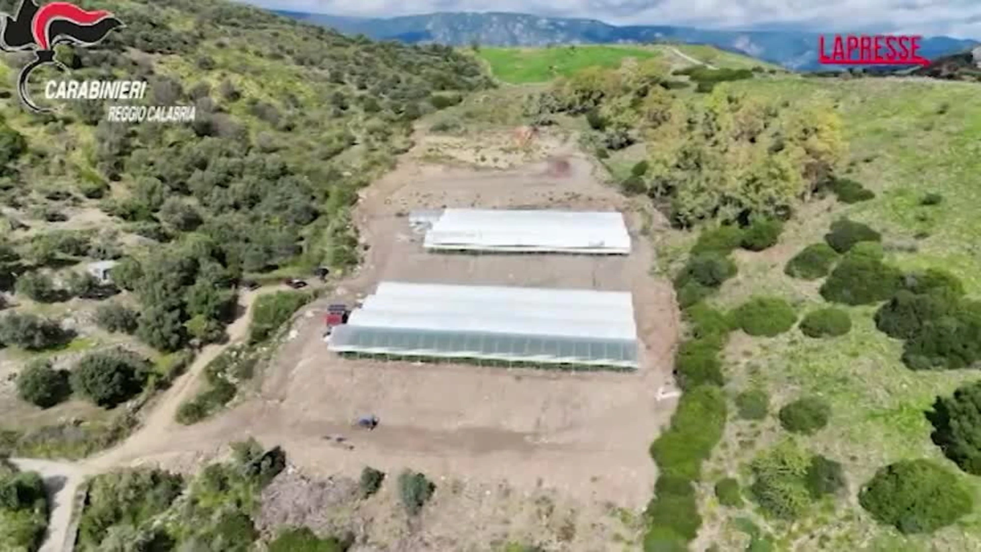 Reggio Calabria, 35 mila metri quadri di serre abusive in area protetta