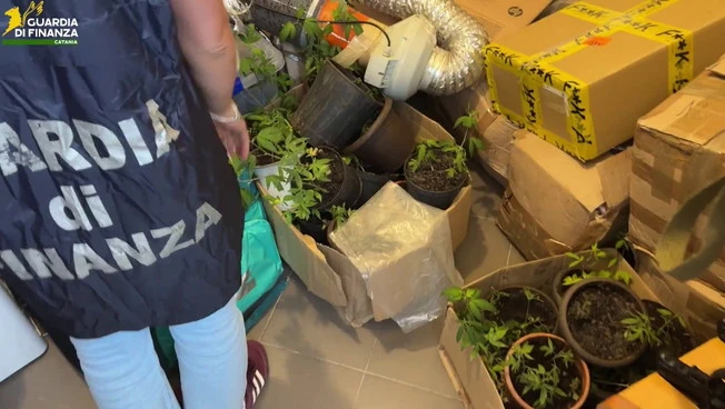 Sequestrati 100 kg tra hashish e marijuana nel Catanese, 3 arresti