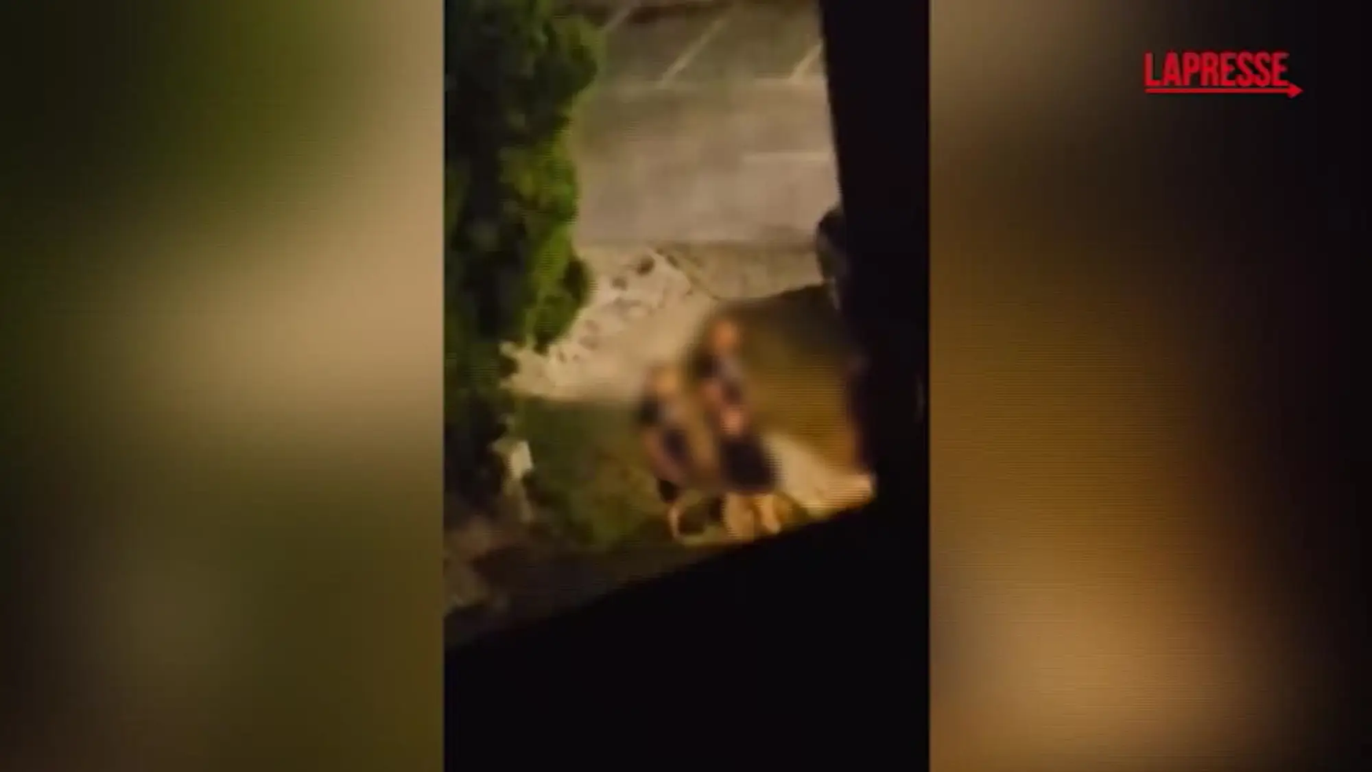 Sofia, nazisti assaltano hotel con giovani ebrei italiani: il video-choc