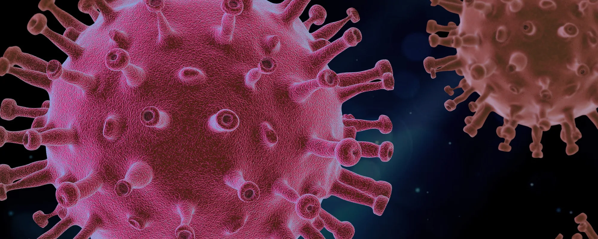 Variante Cicada, nuovo allarme: cosa si sa e perché preoccupa