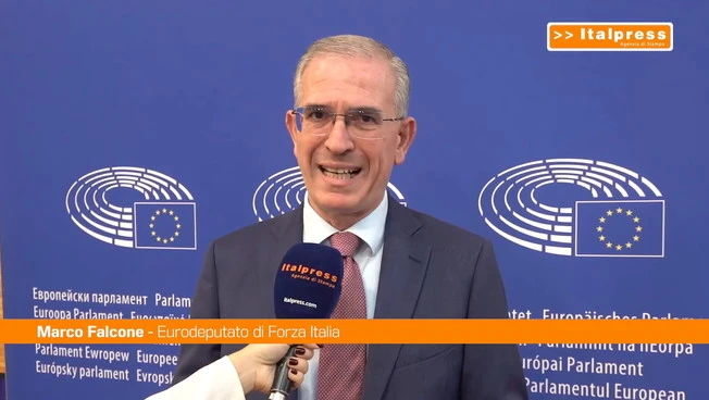 Falcone "L'Ue intervenga con misure strutturali per far fronte alla crisi"