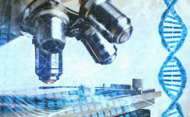 Epatite E : spegnendo il circuito infiammatorio si possono bloccare le infezioni virali più aggressive