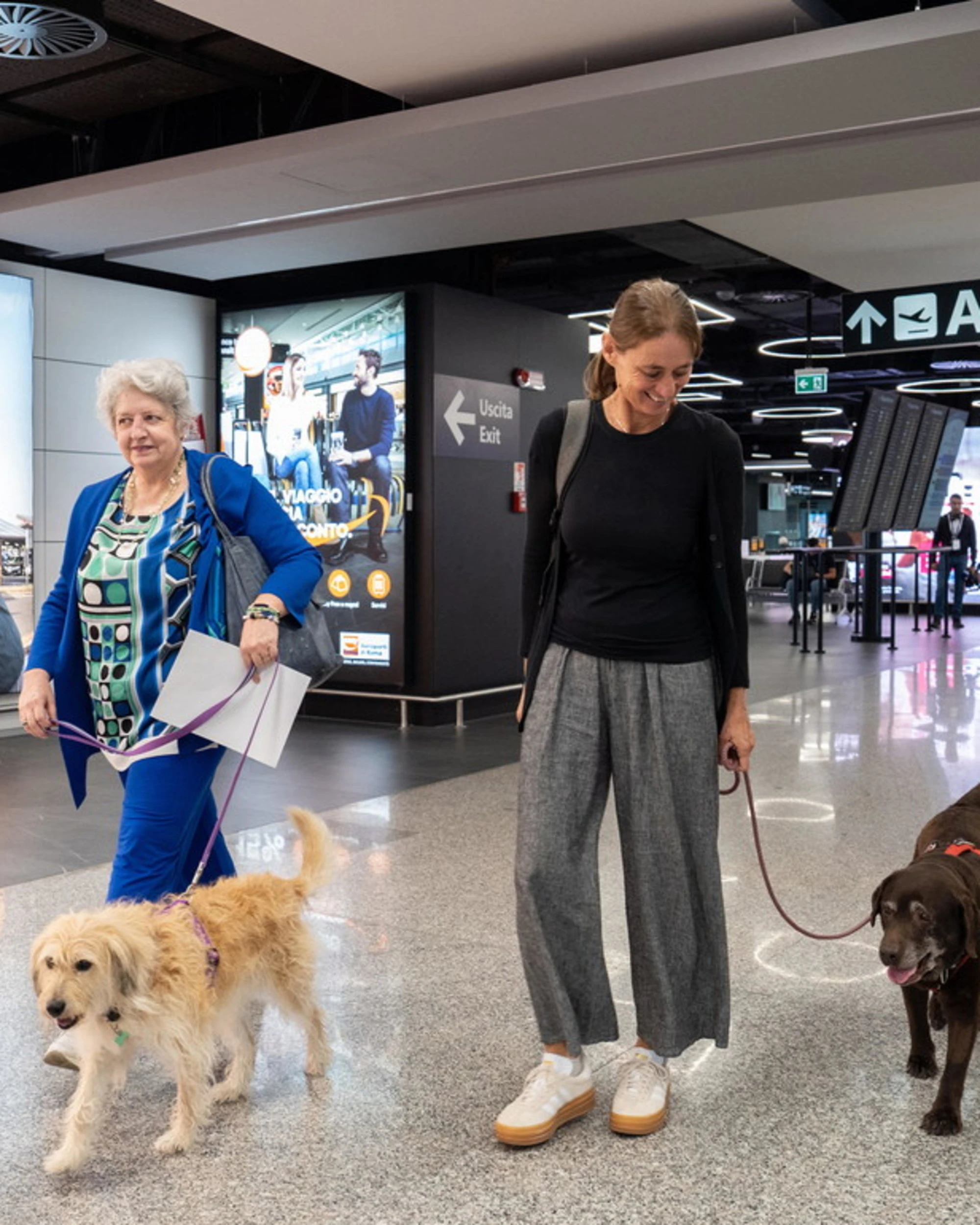 Cani grandi in aereo: per noi padroni una svolta, i contrari si ricrederanno