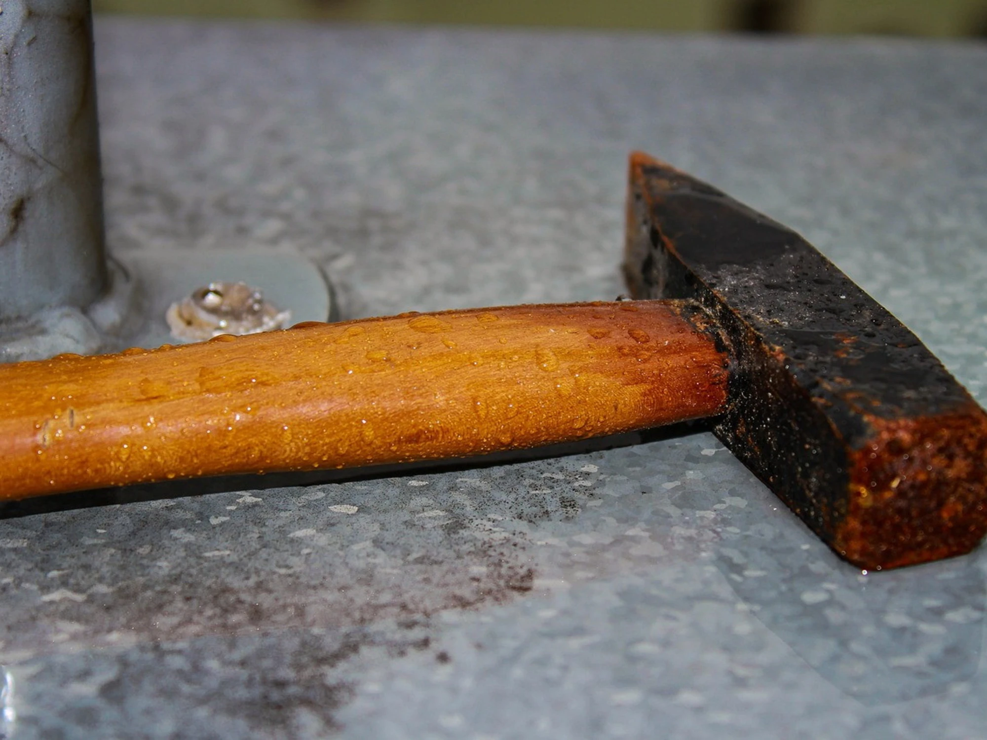 Roma, "non è il mio amante!". Ma lo prende a martellate: finisce in disgrazia