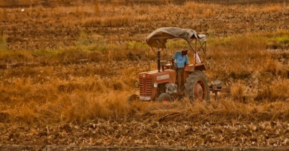 Algeria: Bf conclude iter per progetto agricolo da 420 milioni di dollari