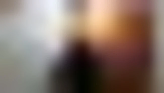 Anaconda, pitoni, boa e un caimano nel seminterrato di un condominio