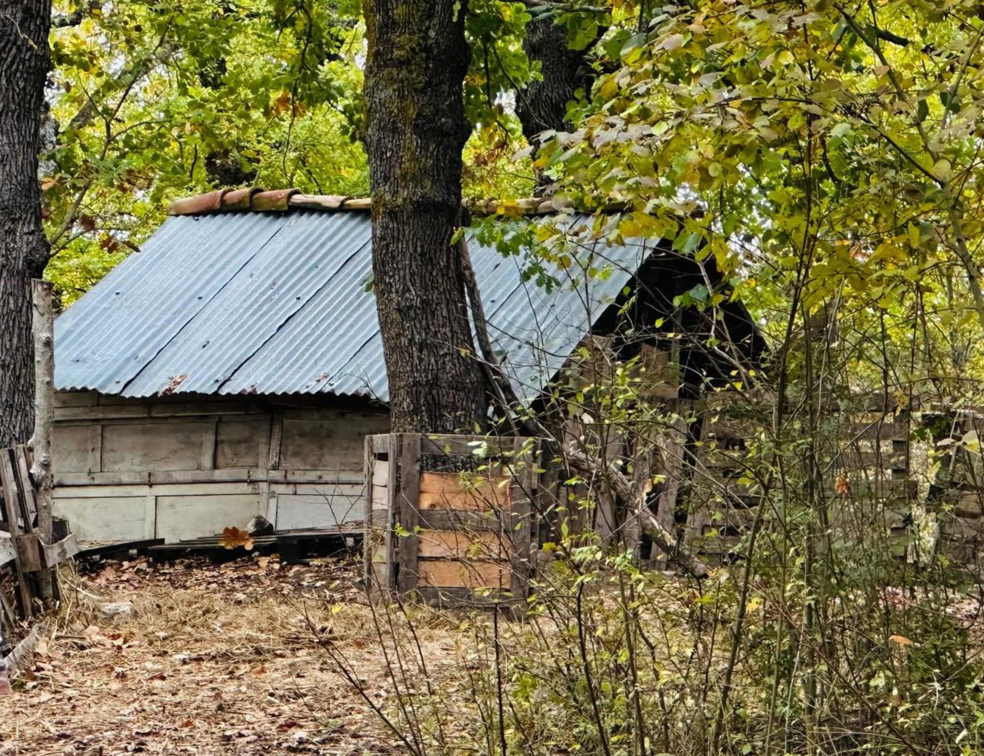 Famiglia nel bosco, l'ex avvocato: "La lettera non è farina del loro sacco"