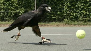 Londra, in campo c'è Stanley