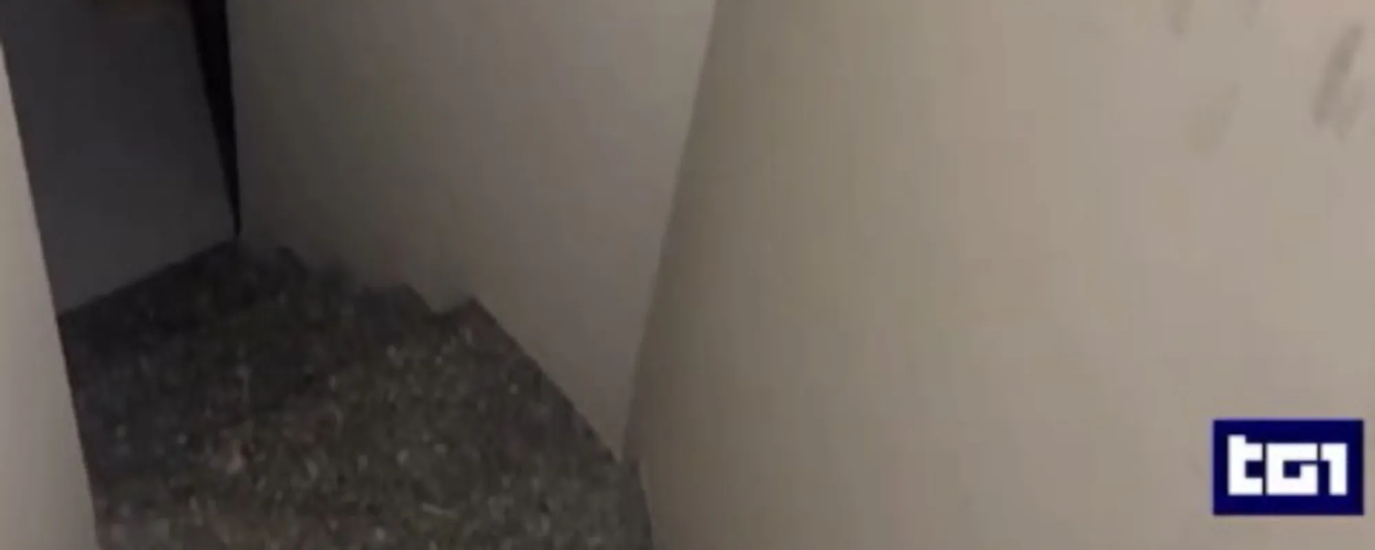 "Trovata nuova impronta di scarpe". Bomba del Tg1 su Garlasco