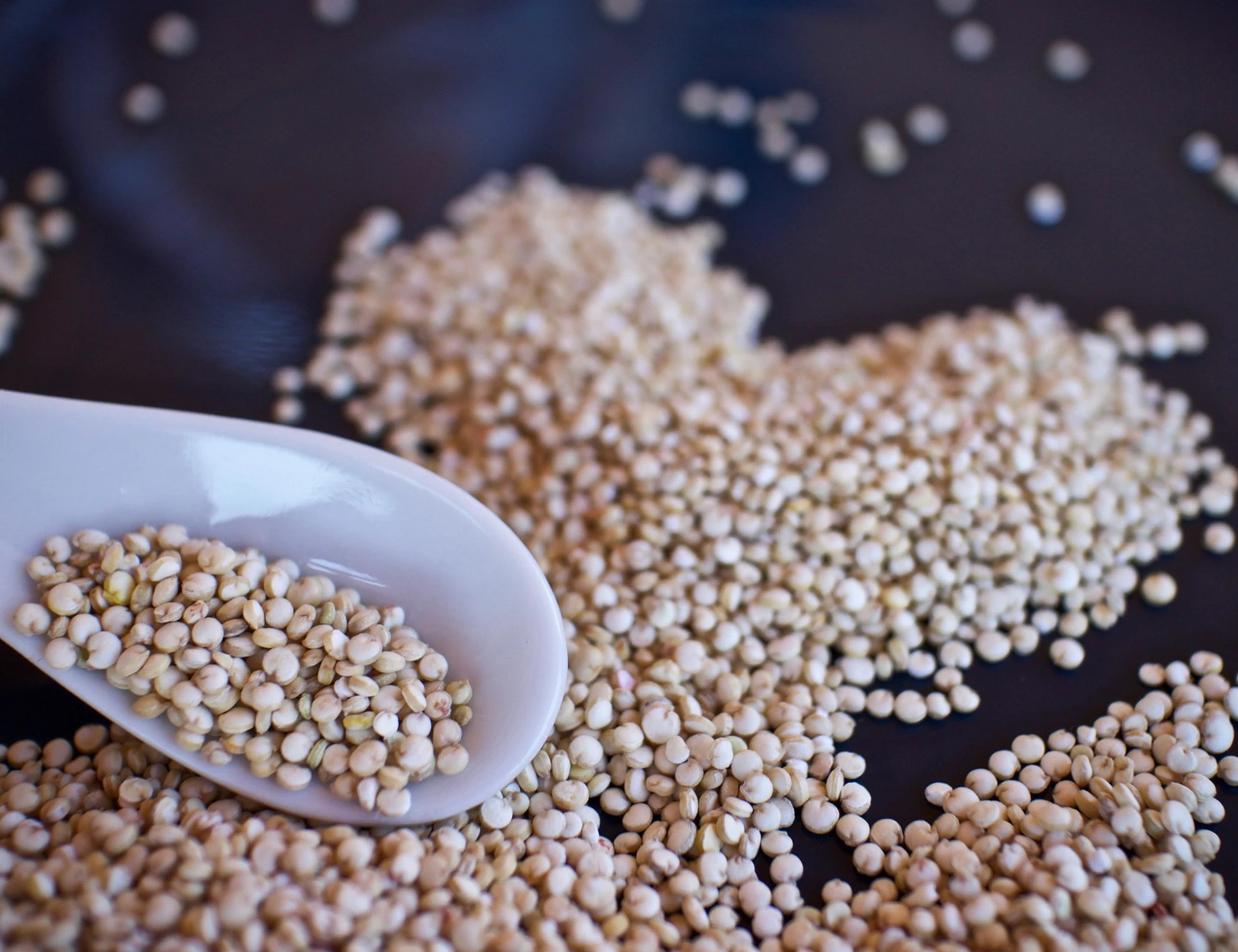 L'enigma quinoa, lo pseudocereale che non sa di nulla