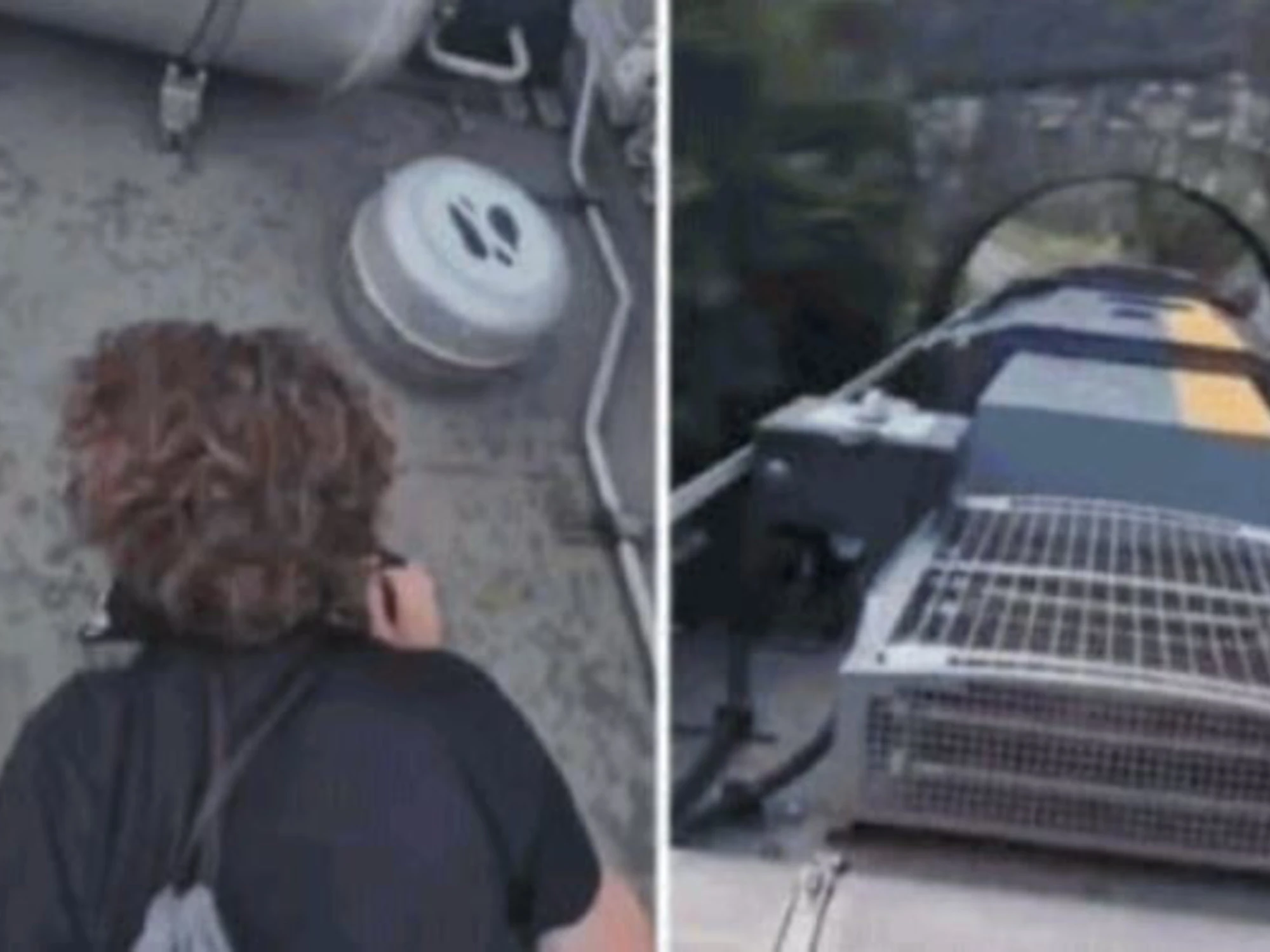 Surfano sui treni in corsa Denunciati due ragazzini