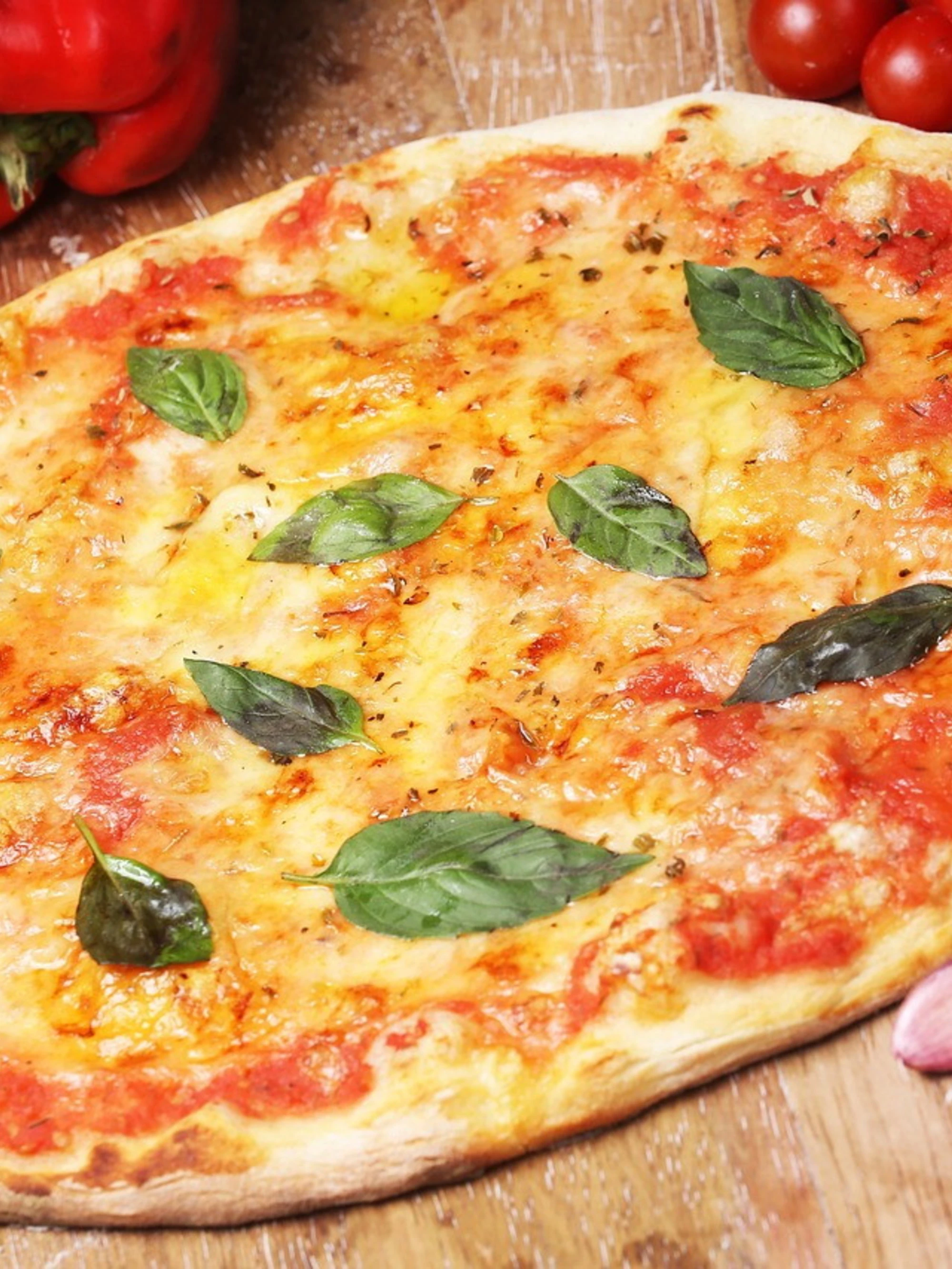 Senigallia, blatte morte ed escrementi di topo: la pizzeria dell'orrore, in cucina...