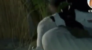 Temptation Island, sapete cosa state vedendo? Stefano dà fuori di testa: pugni e urla, roba da Medioevo