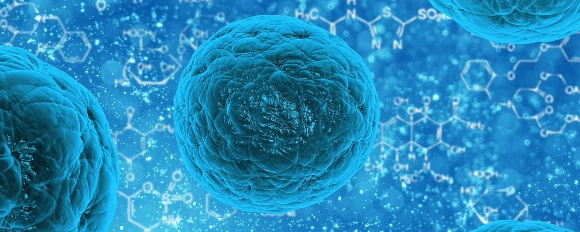 La sifilide spaventa l'Italia: quali sono i sintomi e i rischi