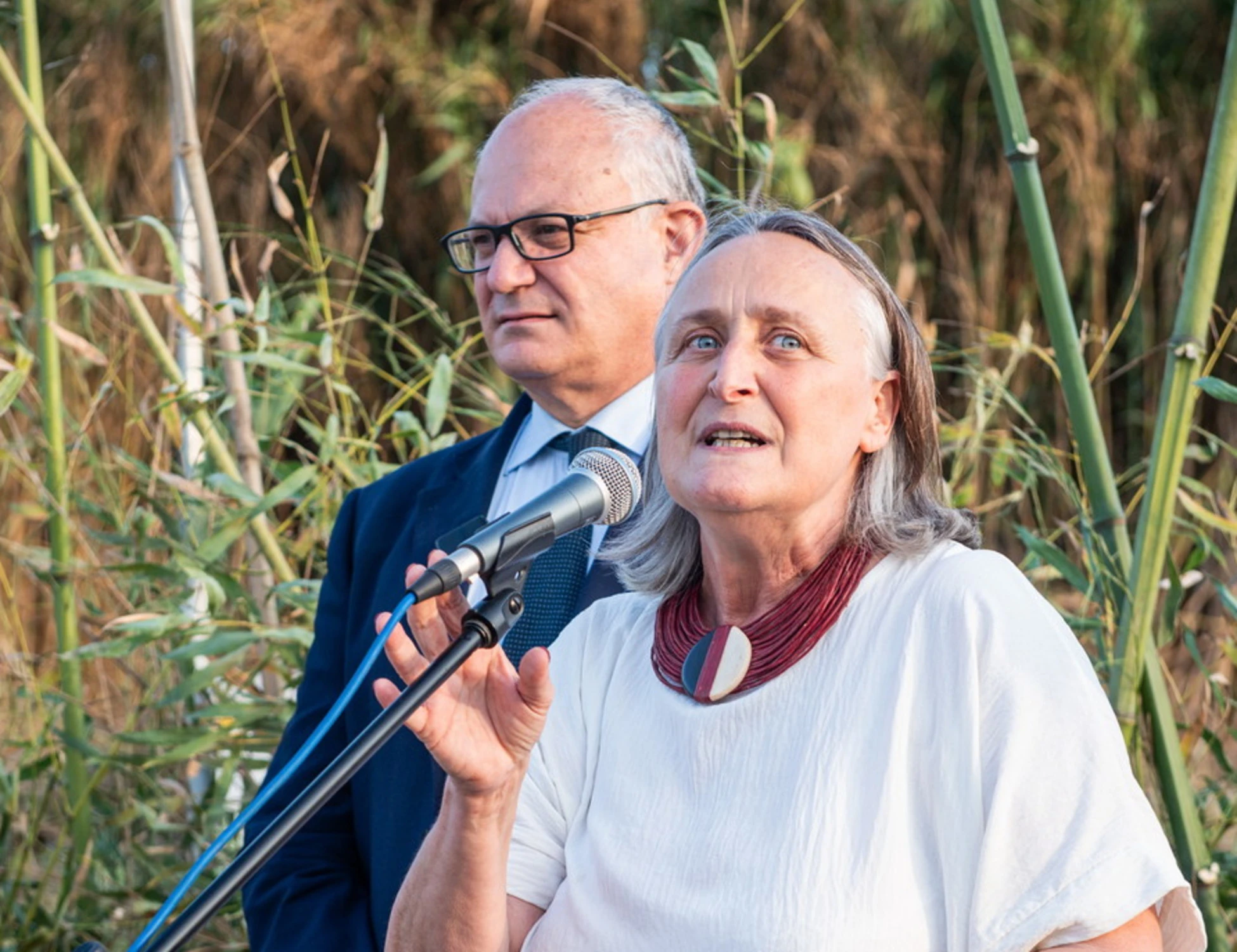 Roma, blatte nella Capitale? Soltanto percepite