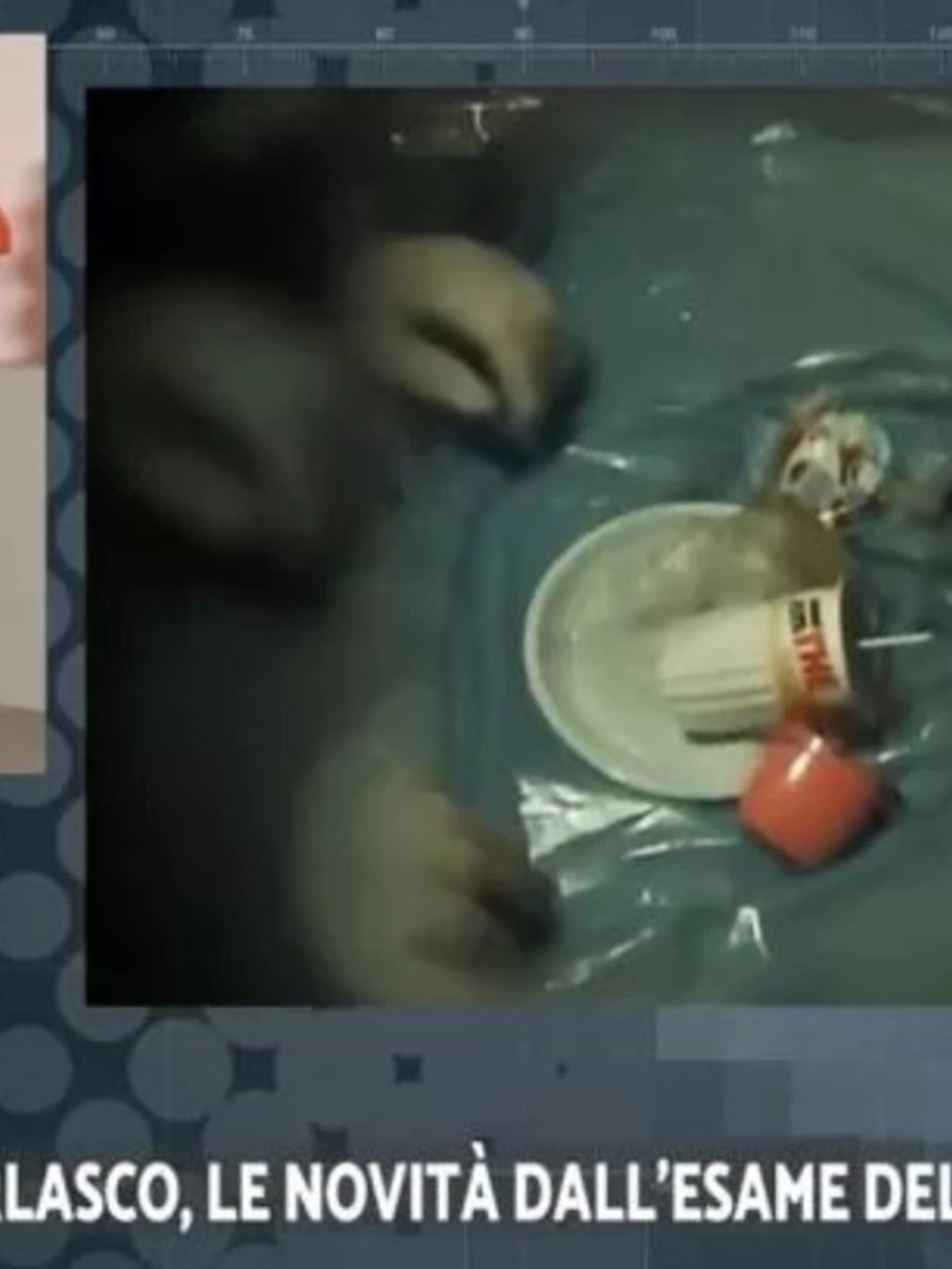 Garlasco, l'accusa dell'ex perito di Stasi: "Ci fu impedito"