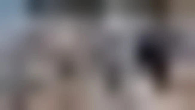 https://media.liberoquotidiano.it/VGVYlvf8LMopAgGw0EpnJ_asyQn-fVITiN4f3zc85FA/width:800/quality:90/aW1hZ2VzLzIwMjUvMTAvMDcvMDc1ODE2NjA5LTU2MjhiYzYxLWFiYTgtNGE5YS05Y2VmLWY2YjhmZTNmNDA4Yy5qcGc.webp