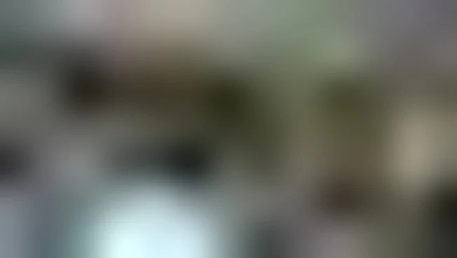 https://media.liberoquotidiano.it/VNTSvFtnh8j03DF7NegjG0NQSuTAr8ZbTHV84HWbLK0/width:800/quality:90/aW1hZ2VzLzIwMjYvMDUvMjAvMTUyMzQ1NDEzLTc2NGNlZTAwLWExOTgtNDcwZi05NTMxLWNlZGIwY2Q4YzcyNi5qcGc.webp