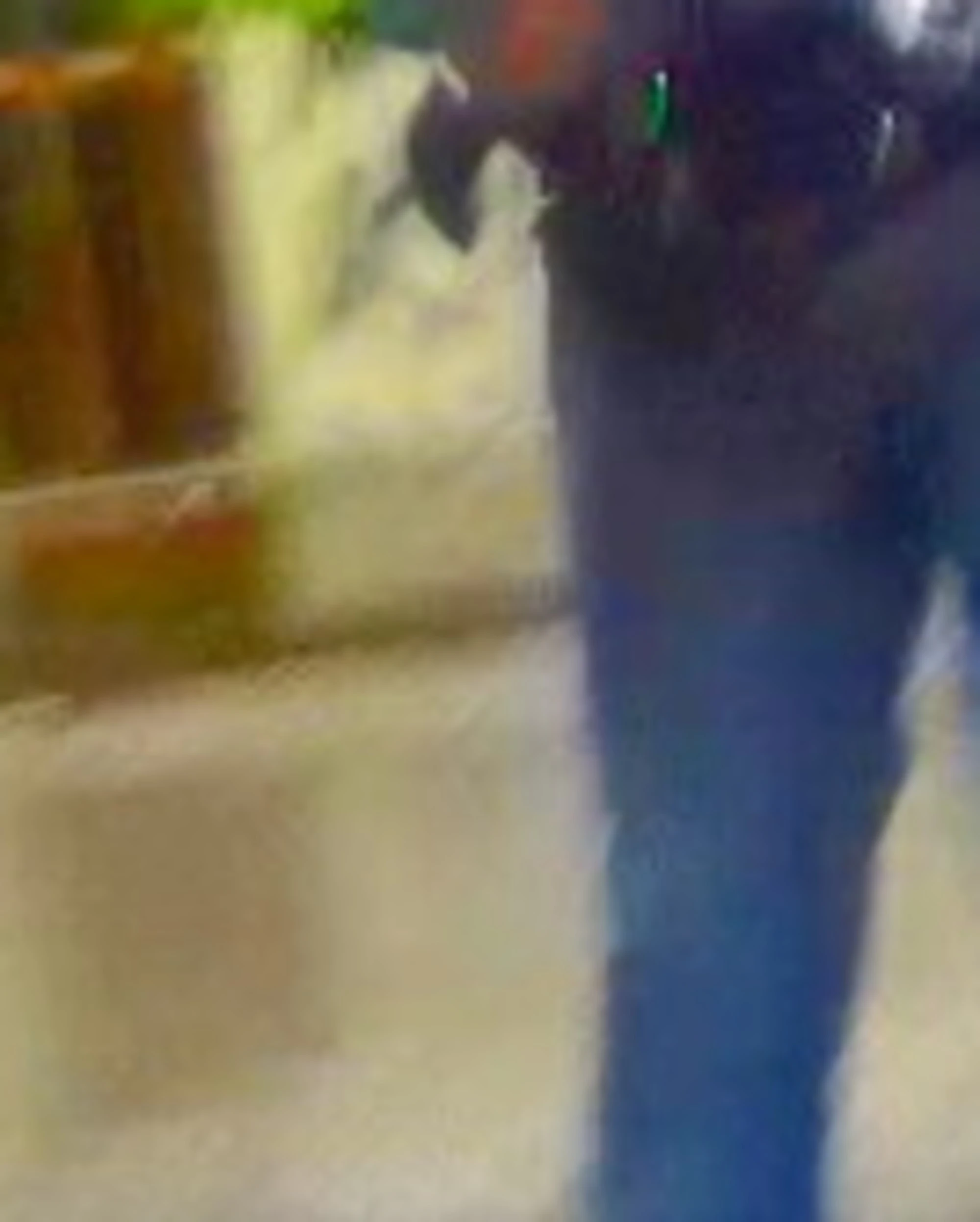 Fuori dal Coro, troupe aggredita: rintracciati un marocchino e un tunisino