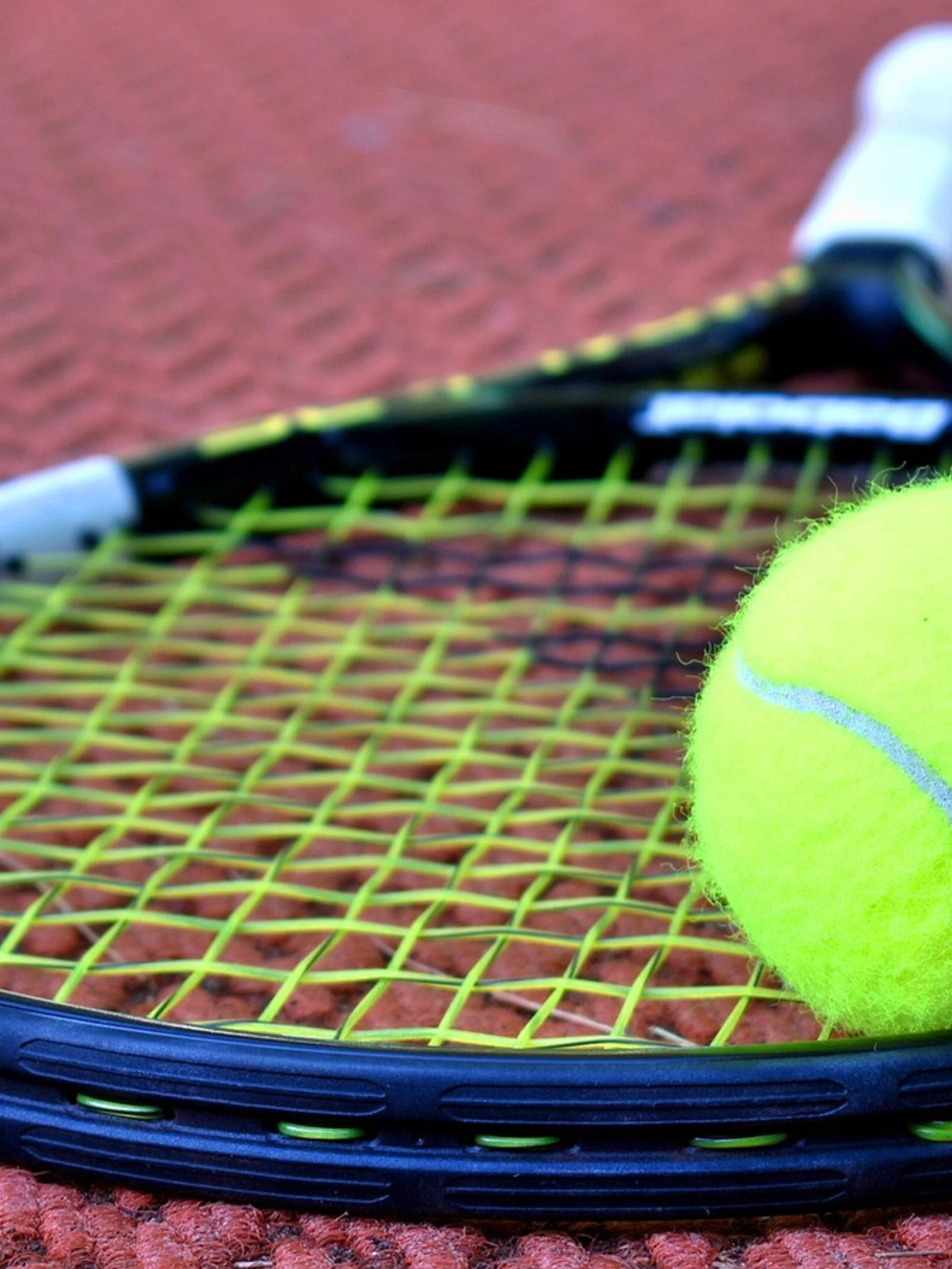 Tennis, lo scandalo corruzione: 4mila euro per perdere un punto