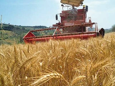 Le colture Ogm tolleranti agli erbicidi aumentano con l'uso di diserbanti