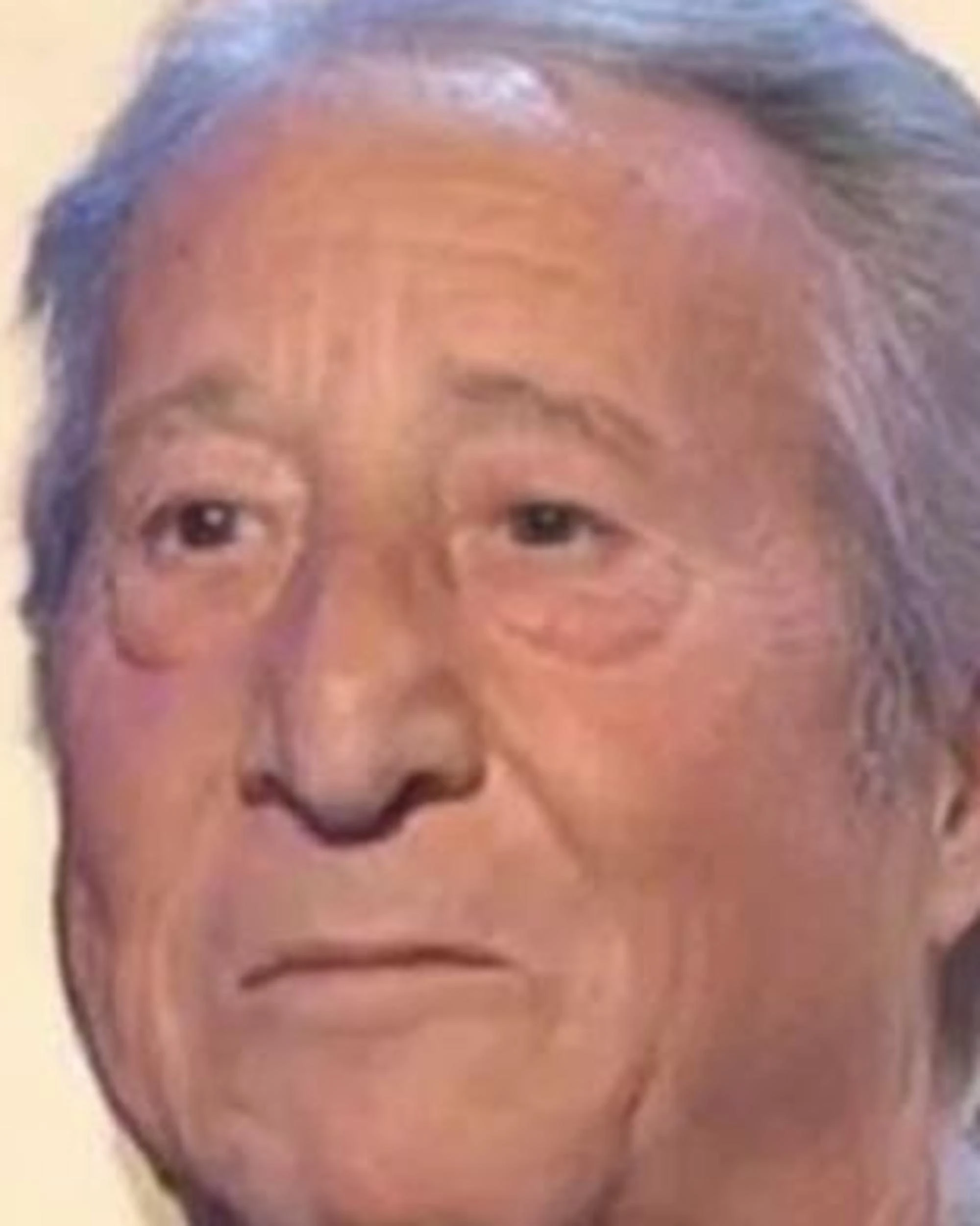 Alvaro Vitali, sfregio di Le Monde: "Infantile e libidinoso"
