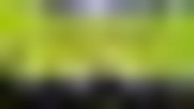 https://media.liberoquotidiano.it/VaBVvJ_xyeV2ZqIxhqo840tQlpw4gv74mIQ_kaqxoT0/width:800/quality:90/aW1hZ2VzLzIwMjUvMTAvMDMvMjE0NzIxNDY5LTRlMzUzNDA2LWU5NTctNDhlNC1iMzQ4LTAwMGY0YmZlYzdlZi5qcGc.webp