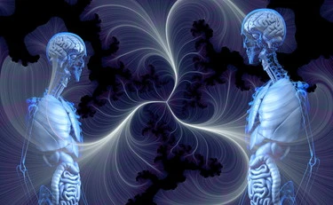 Il timo l'organo che scompare con l'etÃ  e che potrebbe nascondere il segreto della longevitÃ 